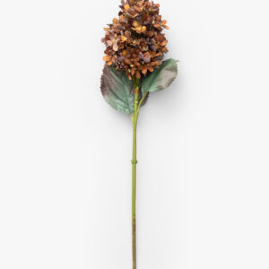23" Burgundy Cone Hydrangea